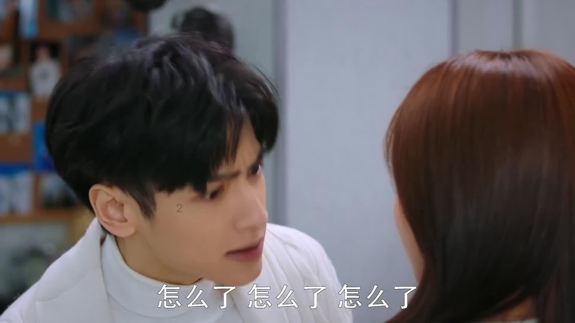 创作猫
